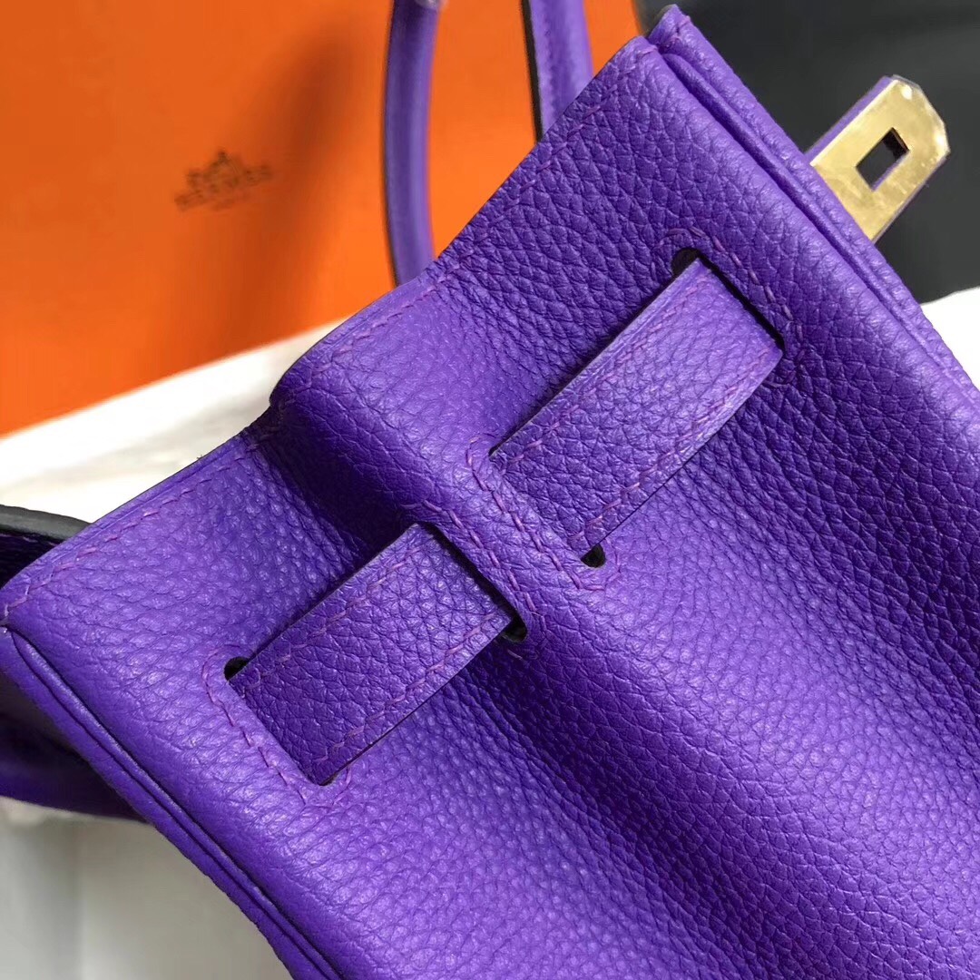 Hermes Birkin 35CM Togo Leather Handbag Violet Purple